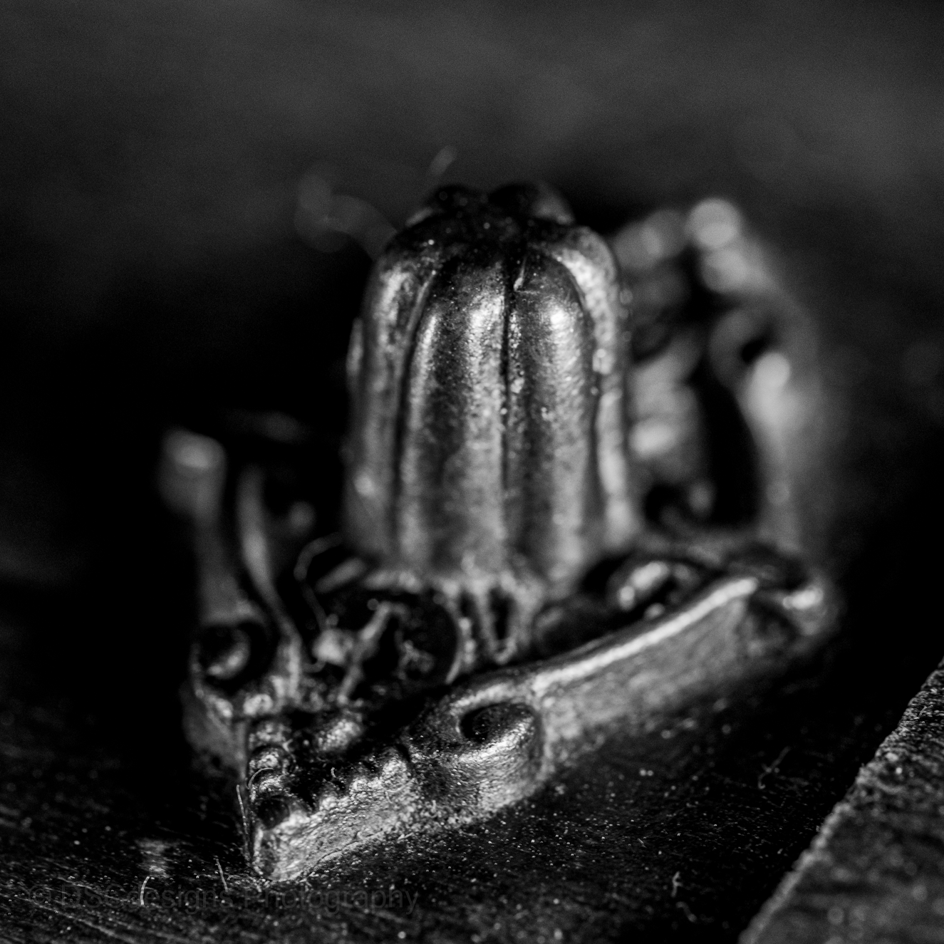 DSC Designs Web Designs